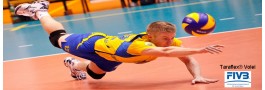 Taraflex Volei FIVB